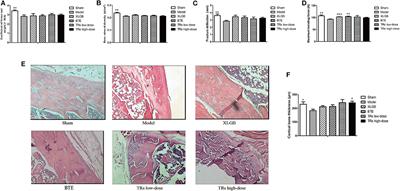 Corrigendum: Effect of Black Tea Extract and Thearubigins on Osteoporosis in Rats and Osteoclast Formation in vitro